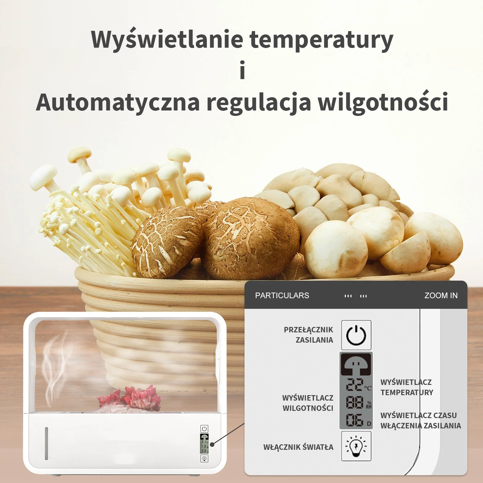 info