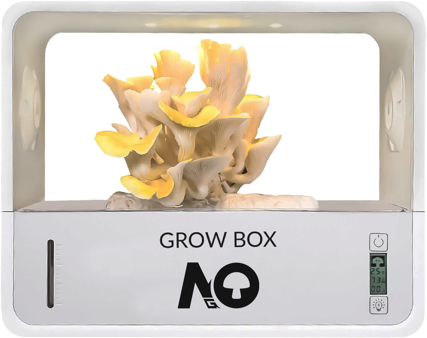 Grow Box