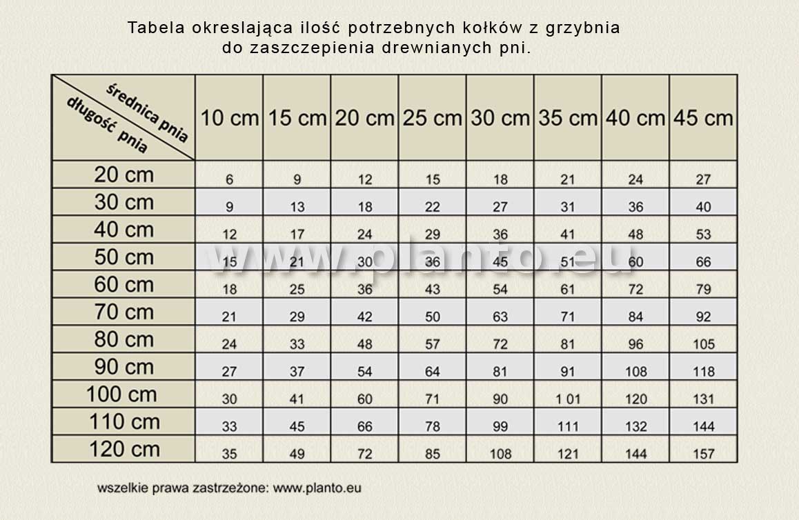 tabela ilości kołków