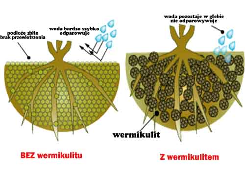 Wermikulit 25L - obrazek 2