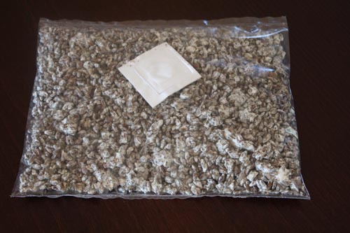 Grzybnia smardzy Morchella esculenta, ziarno 1 L - obrazek 2