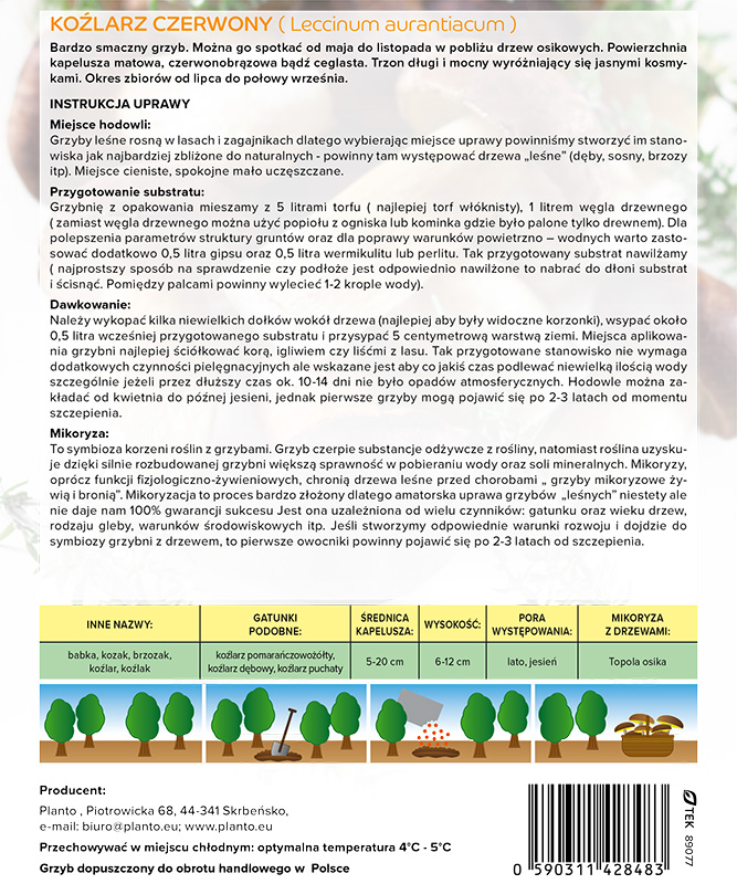 Grzybnia mikoryzowa koźlarza czerwonego 100–150 g - obrazek 4