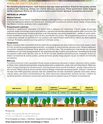 Maślak zwyczajny (Suillus luteus) grzybnia 100-150 g - obrazek 4