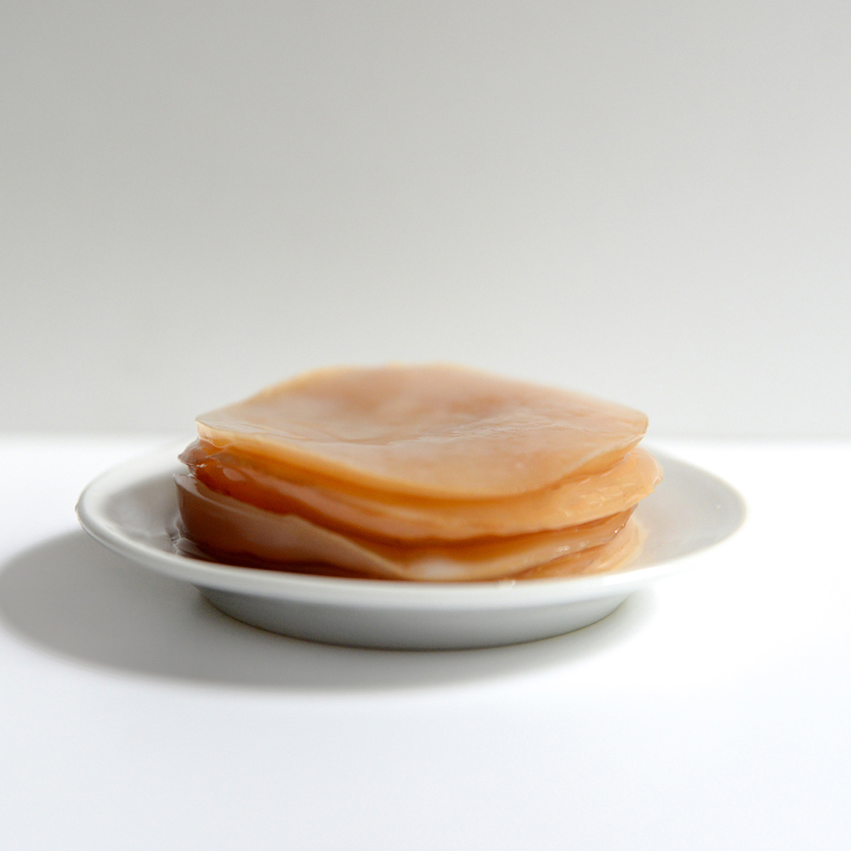 Grzybek herbaciany kombucha do hodowli