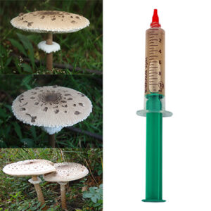 Czubajka kania grzybnia płynna, strzykawka 10 ml