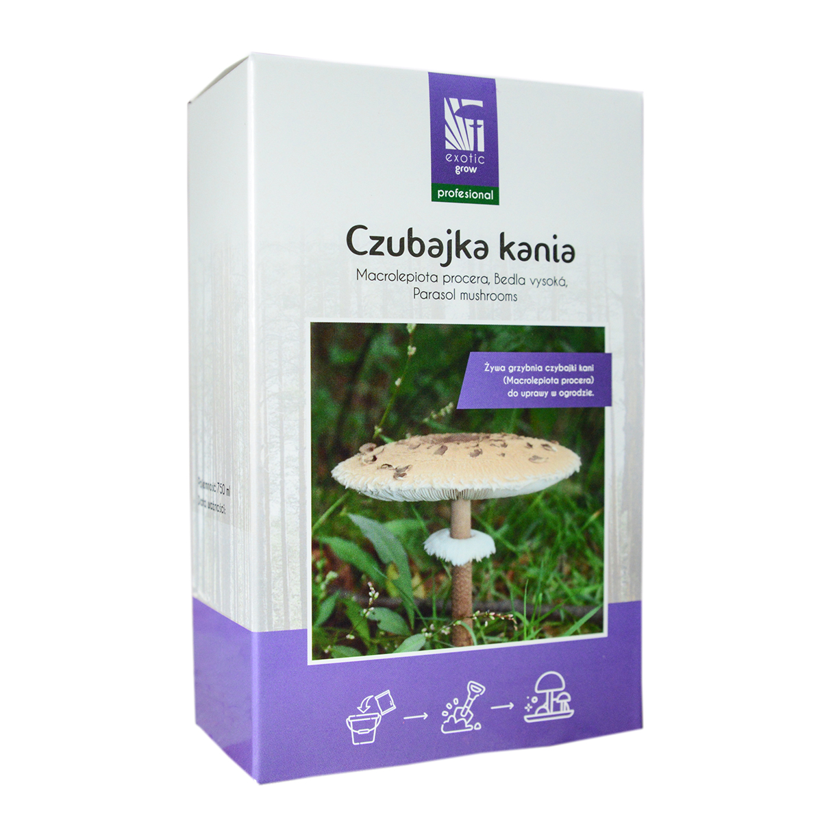 Czubajka kania Marcrolepiota procera grzybnia 750 ml