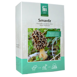 Smardz jadalny grzybnia ogrodowa 750 ml