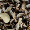 Shiitake – Lentinula edodes – suszony 100 g - obrazek 4