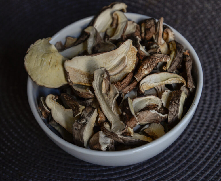 Shiitake – Lentinula edodes – suszony 100 g - obrazek 3