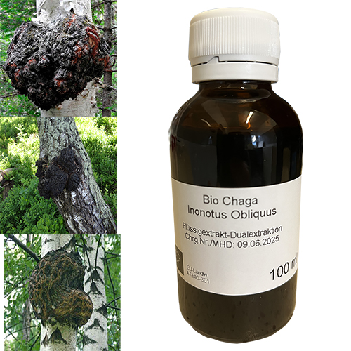 Chaga Inonotus obliquus BIO ekstrakt płynny 100 ml