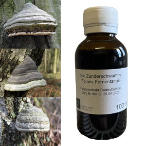 Hubiak pospolity Fomes fomentarius BIO ekstrakt płynny 100 ml
