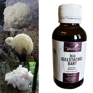 Soplówka jeżowata Hericium erinaceus BIO ekstrakt płynny 100 ml