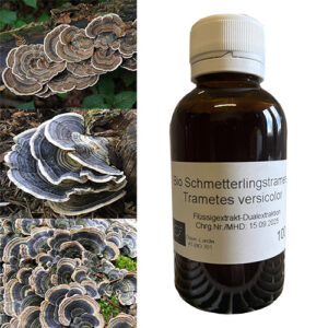 Wrośniak różnobarwny Trametes versicolor ekstrakt płynny BIO 100 ml