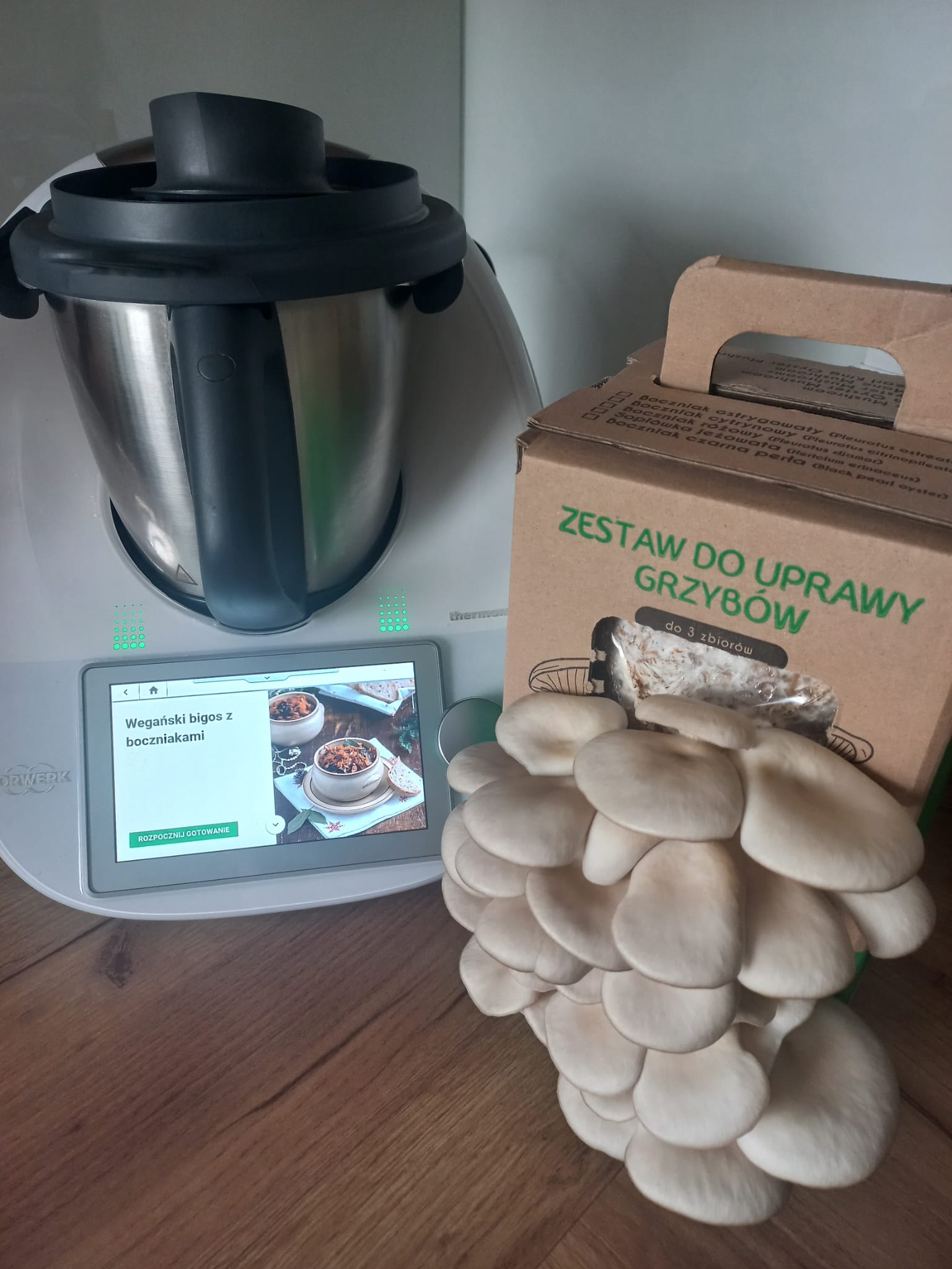 Boczniak ostrygowaty Pleurotus ostreatus zestaw - obrazek 6