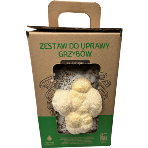 Soplówka jeżowata Hericium erinaceus, zestaw 6 L