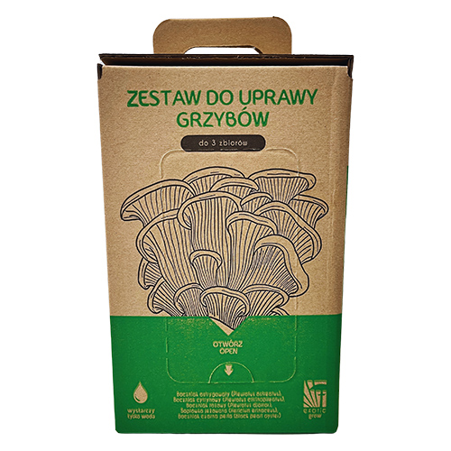 Soplówka jeżowata Hericium erinaceus, zestaw 6 L - obrazek 2