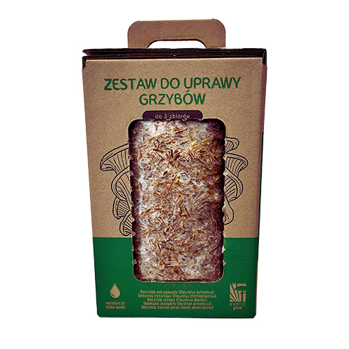 Soplówka jeżowata Hericium erinaceus, zestaw 6 L - obrazek 4