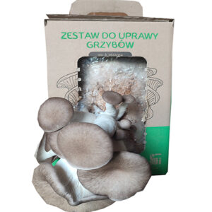 Black Pearl Oyster — zestaw do uprawy w domu
