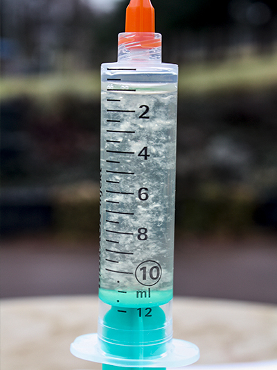 Cordyceps militaris — płynna grzybnia 10 ml - obrazek 6