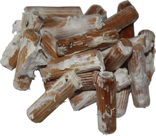 Chaga (Inonotus obliquus) – kołki z grzybnią, 20 szt. - obrazek 6
