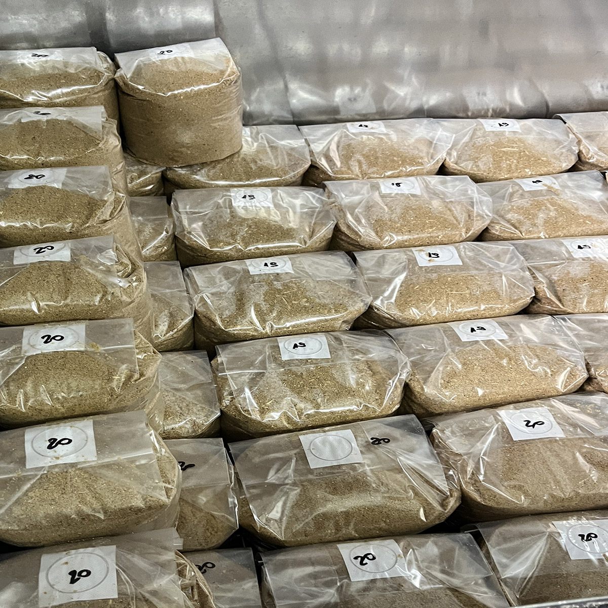 Podłoże sterylne 2 kg do zaszczepienia grzybnią - obrazek 5