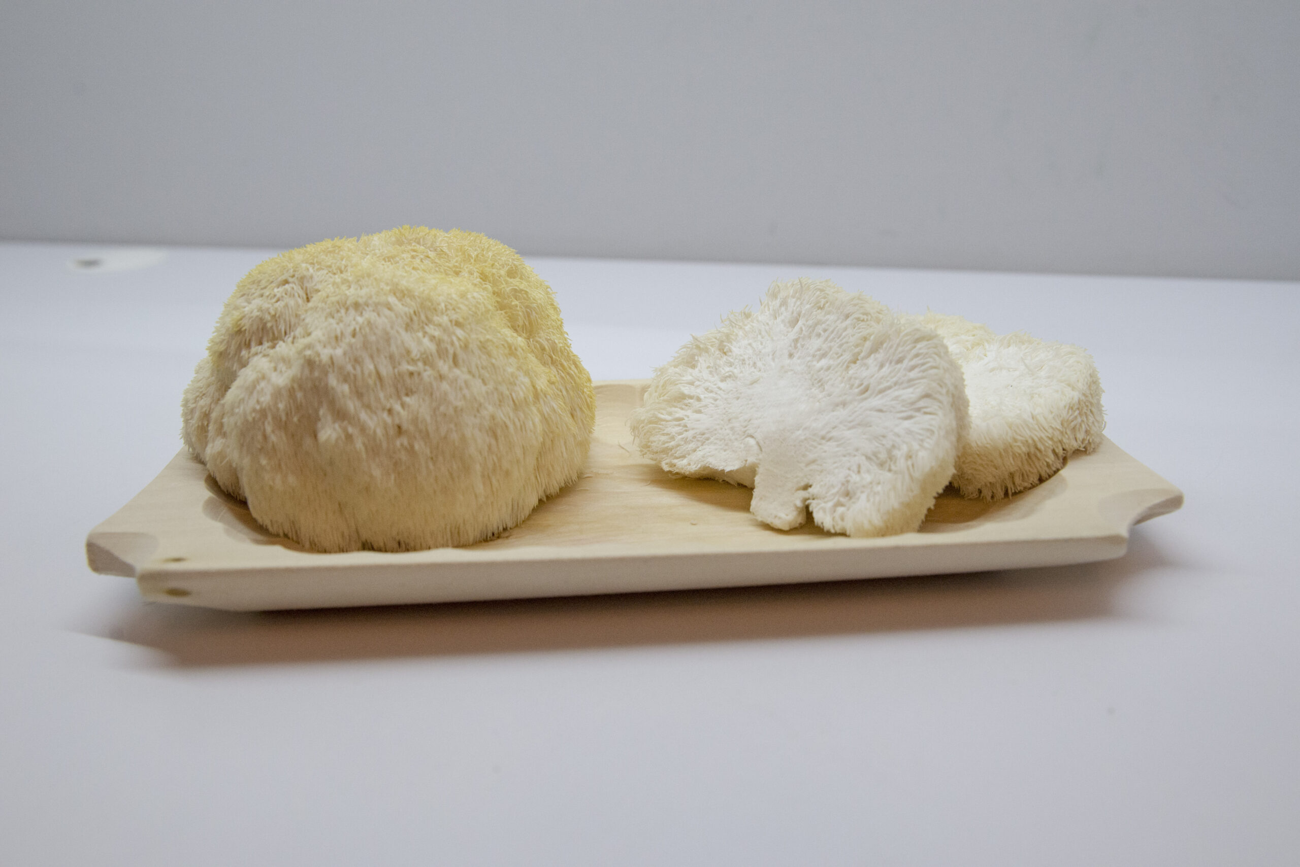 Kreatyna 300 g z soplówką i shiitake - obrazek 4