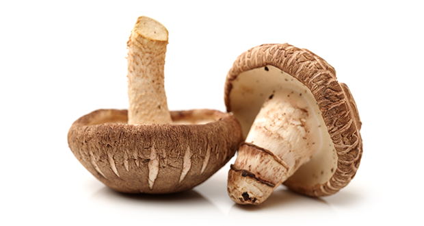Kreatyna 300 g z soplówką i shiitake - obrazek 3