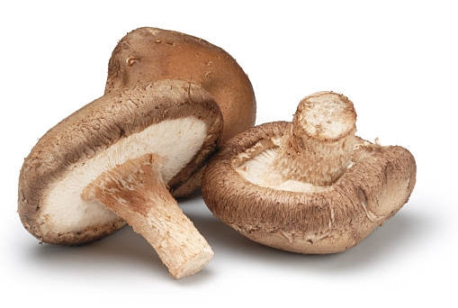 Kreatyna 300 g z soplówką i shiitake - obrazek 5