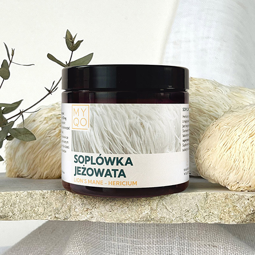 soplówka jeżowata