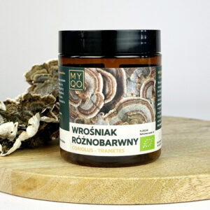 BIO Wrośniak różnobarwny (Trametes versicolor) – Coriolus versicolor – proszek 100 g