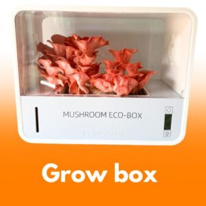Grow Box do uprawy grzybów, sterowanie USB, ABS