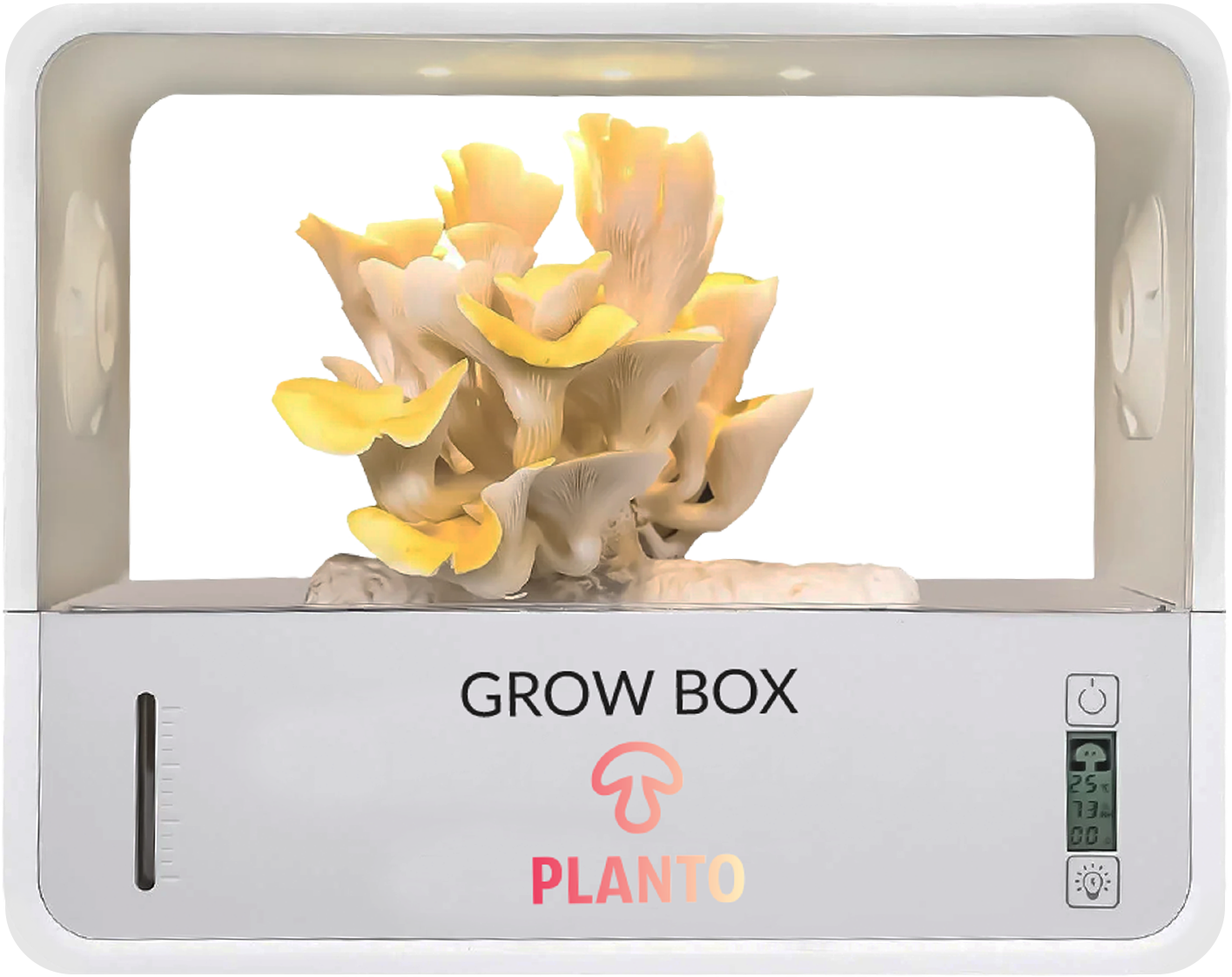 Zestaw 6 grzybni do Grow Boxa – sześć comiesięcznych dostaw grzybni do wyboru - obrazek 6