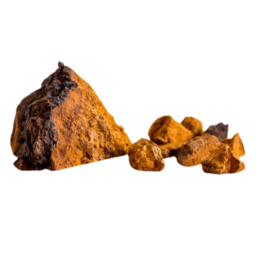 Chaga BIO Inonotus obliquus kapsułki 120 szt. - obrazek 4